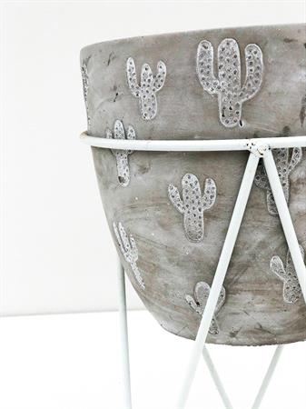 Vaso cactus grigio con piedistallo