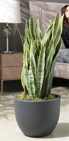 Vaso doppia parete eggy d.45