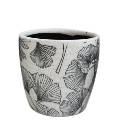 Vaso Ginko