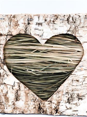 Cubo corteccia cuore verde