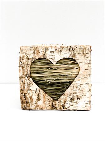 Cubo corteccia cuore verde