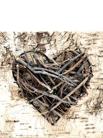 Cubo corteccia cuore marrone