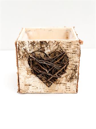 Cubo corteccia cuore marrone