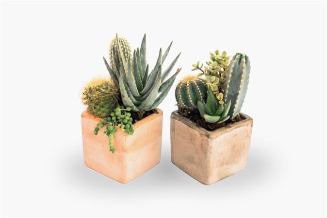 Composizione cubo terracotta