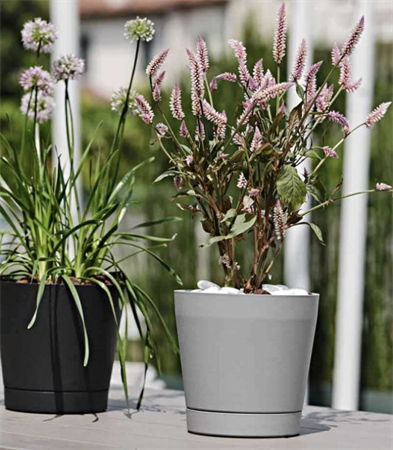 Vaso Orione con riserva d'acqua d.29