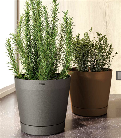 Vaso Orione con riserva d'acqua d.36