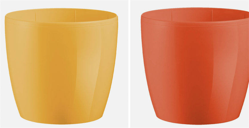 Vaso Madeira lucido colorato