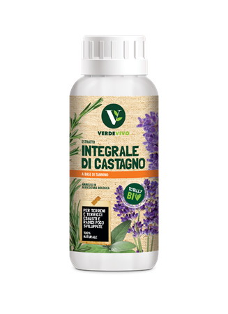Estratto Integrale di Castagno