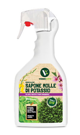 Sapone molle di Potassio