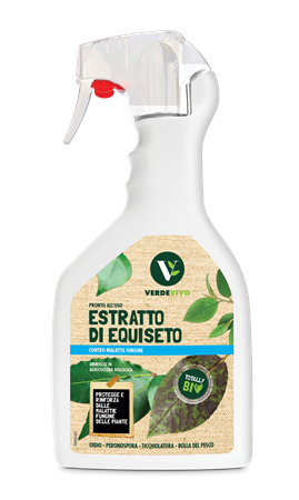 Estratto di Equiseto
