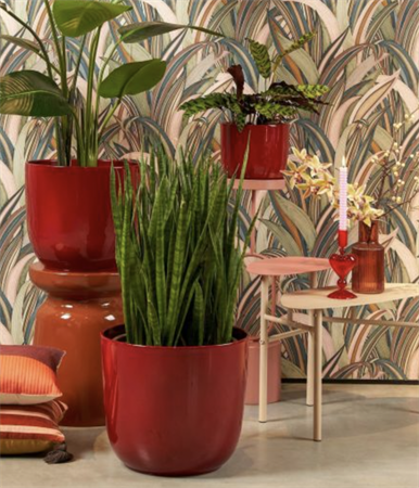 Vaso liscio rosso d.19