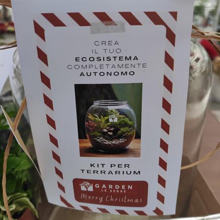 KIT TERRARIUM