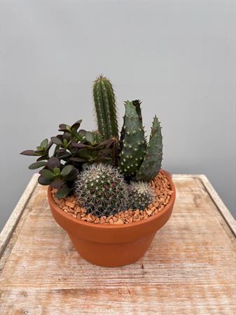 Composizione grasse in terracotta