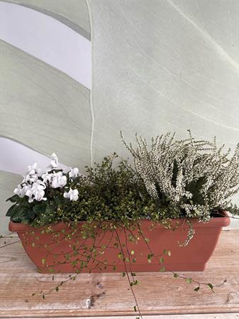 Kit cassetta autunnale