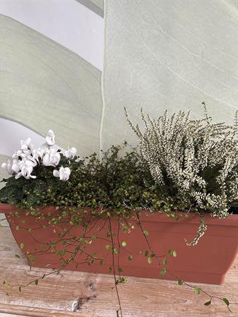 Kit cassetta autunnale