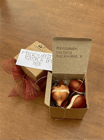 Scatolina in cartone con bulbi misti