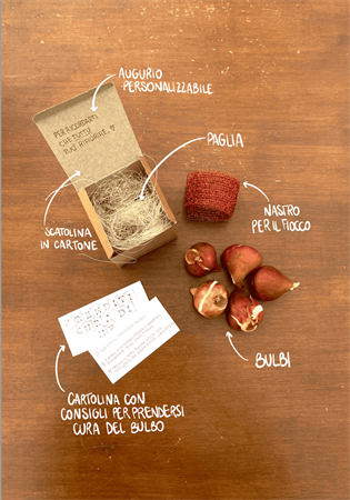 Scatolina in cartone con bulbi misti