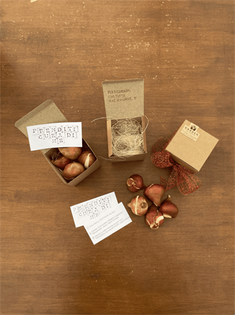 Scatolina in cartone con bulbi misti