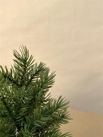 Pino artificiale h.25