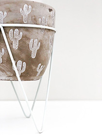 categoria-vasi-e-home-decor