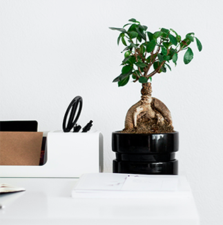 ufficio-categoria-home