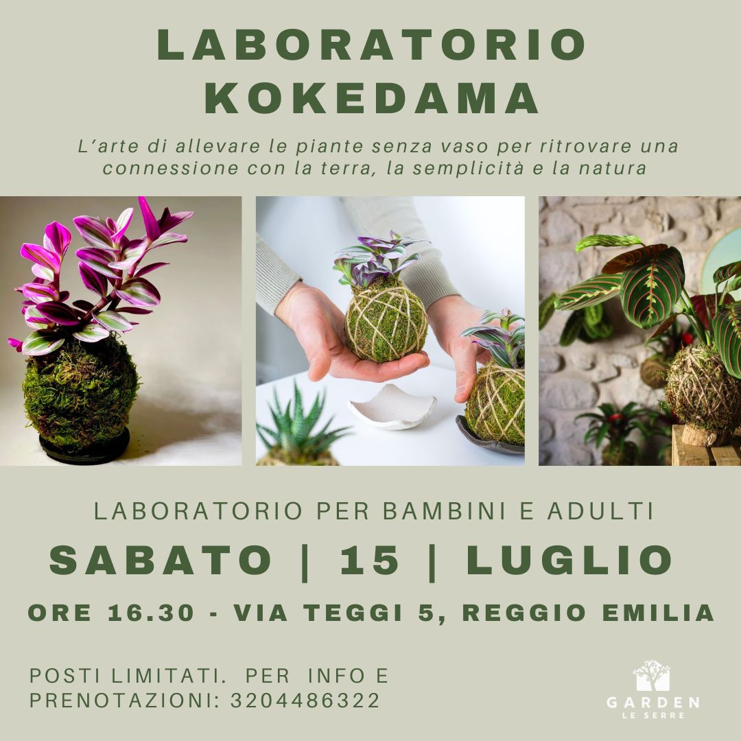 laboratorio-kokedama
