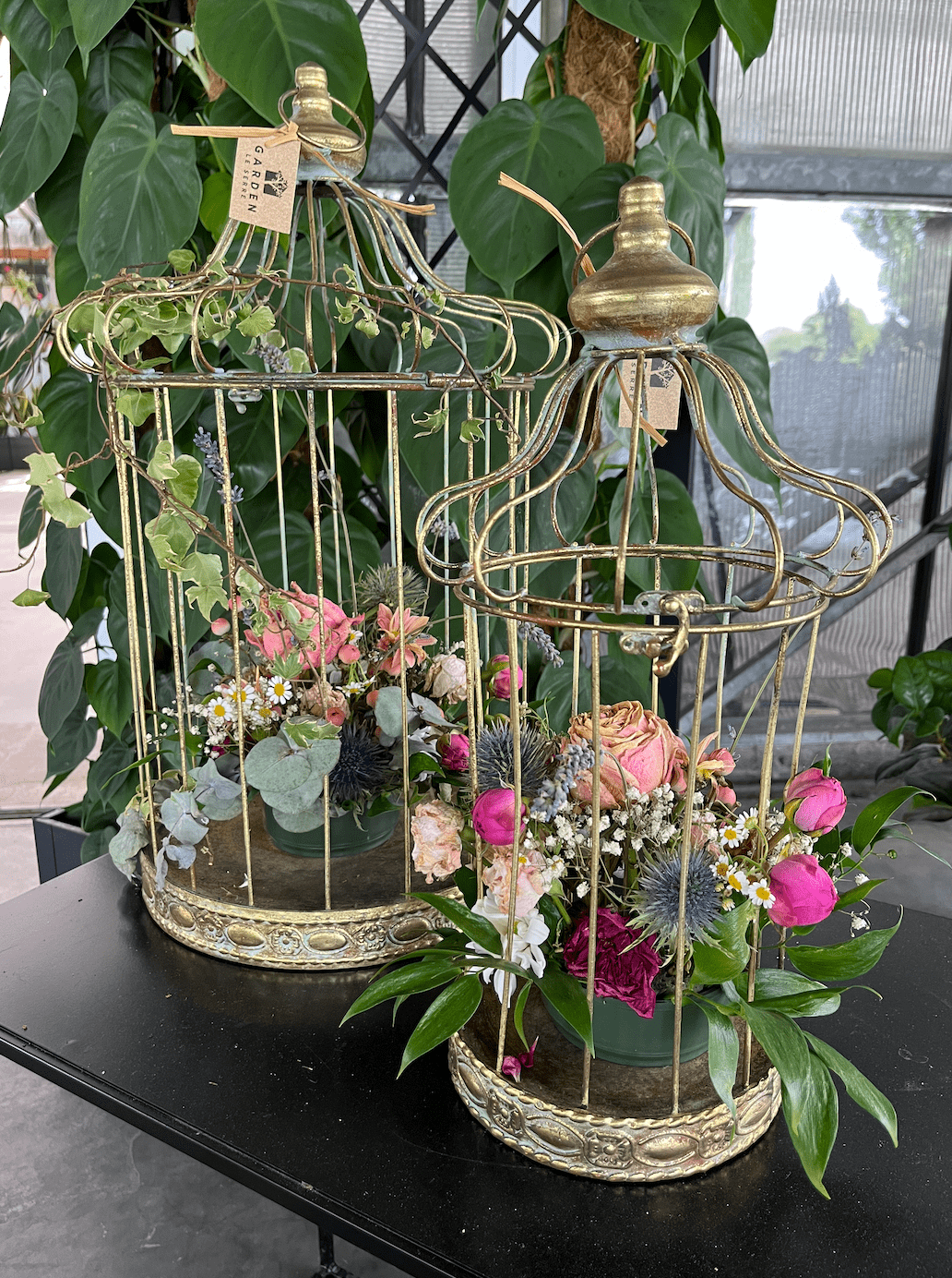 schermata-2023-08-21-alle-194035 schermata-2023-08-21-alle-194035