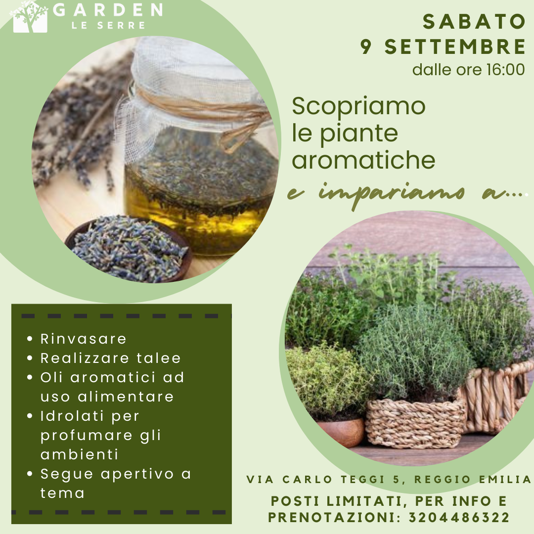 piante-aromatiche---9-settembre