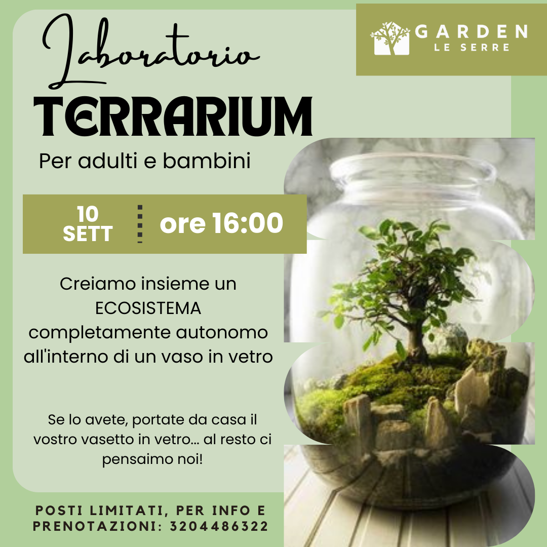 terrarium---10-settembre