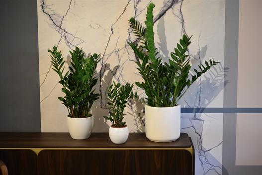 3da3dea8-6111-4266-98e2-6fb52b107270_1_105_c